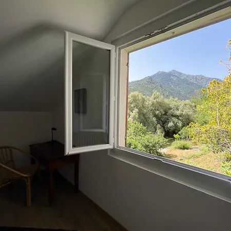 Rez De Apartment Corte (Corsica)