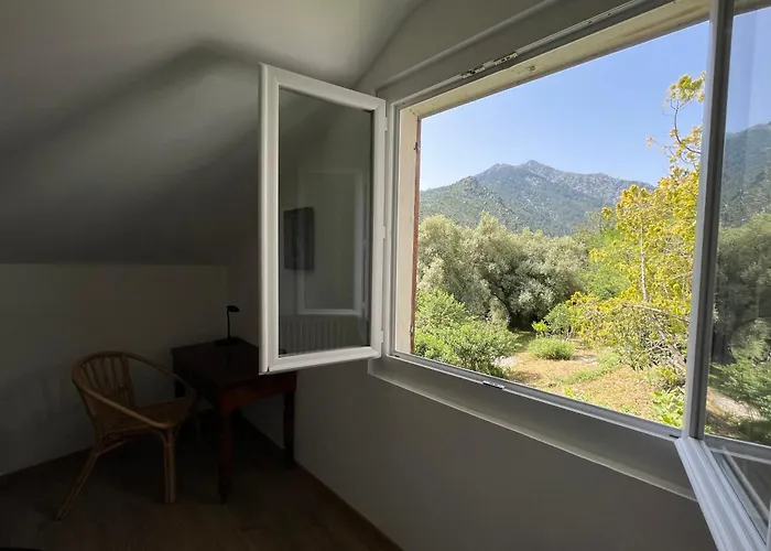 Rez De Apartment Corte (Corsica)